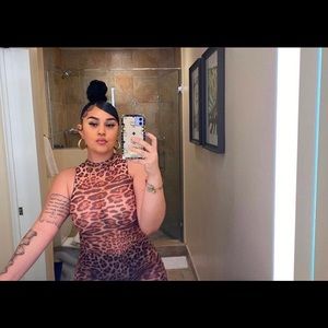 “Slick Cheetah” Mesh Dress